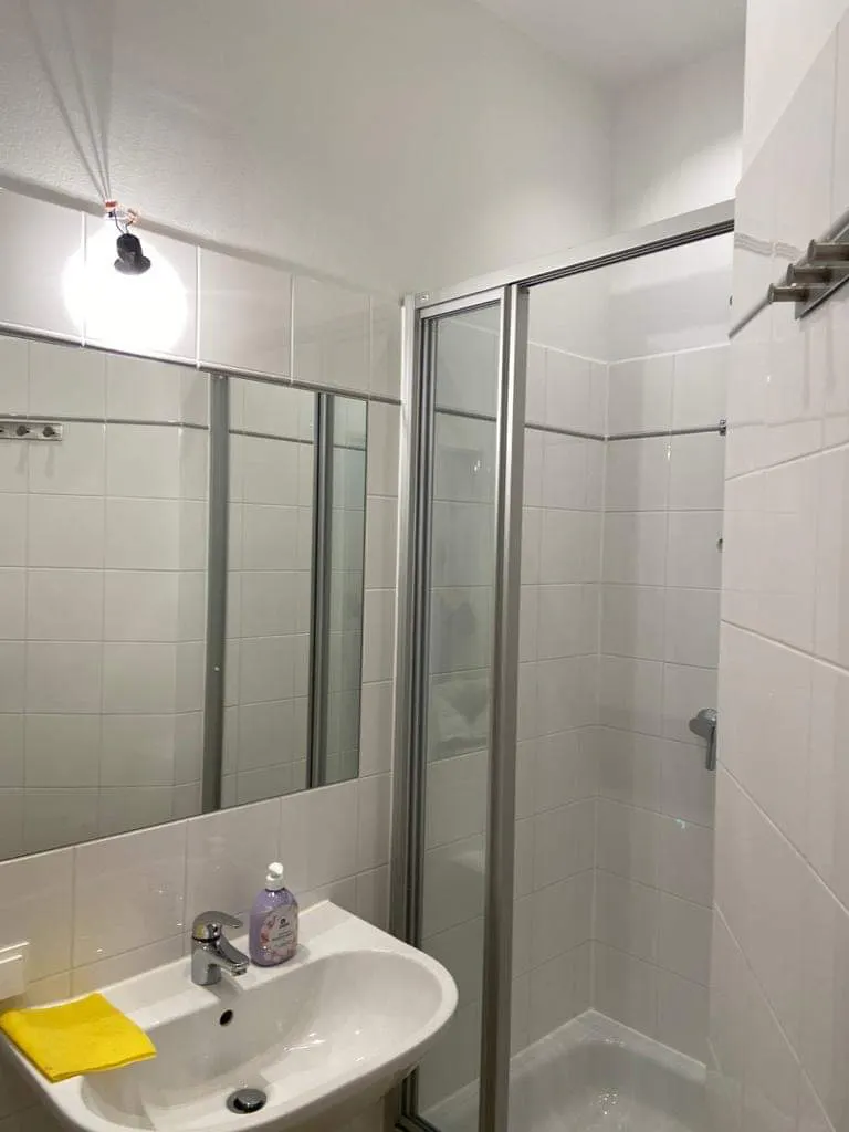 1-Bedroom Apartment in Ybbsstraße, Vienna (510961) ROOM 4