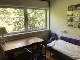 Private room for rent for DKK 3,300 per month in Roskilde, Dommervænget