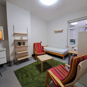 Private room for rent for €724 per month in Etterbeek, Rue de Haerne