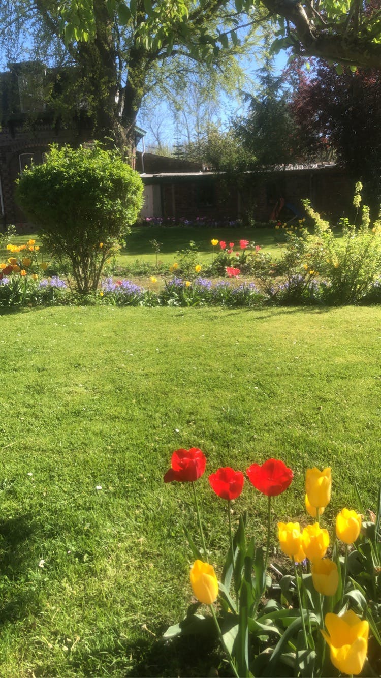 Apartment Mons-En-Barœul, 4 beds, 145m² — photo 18
