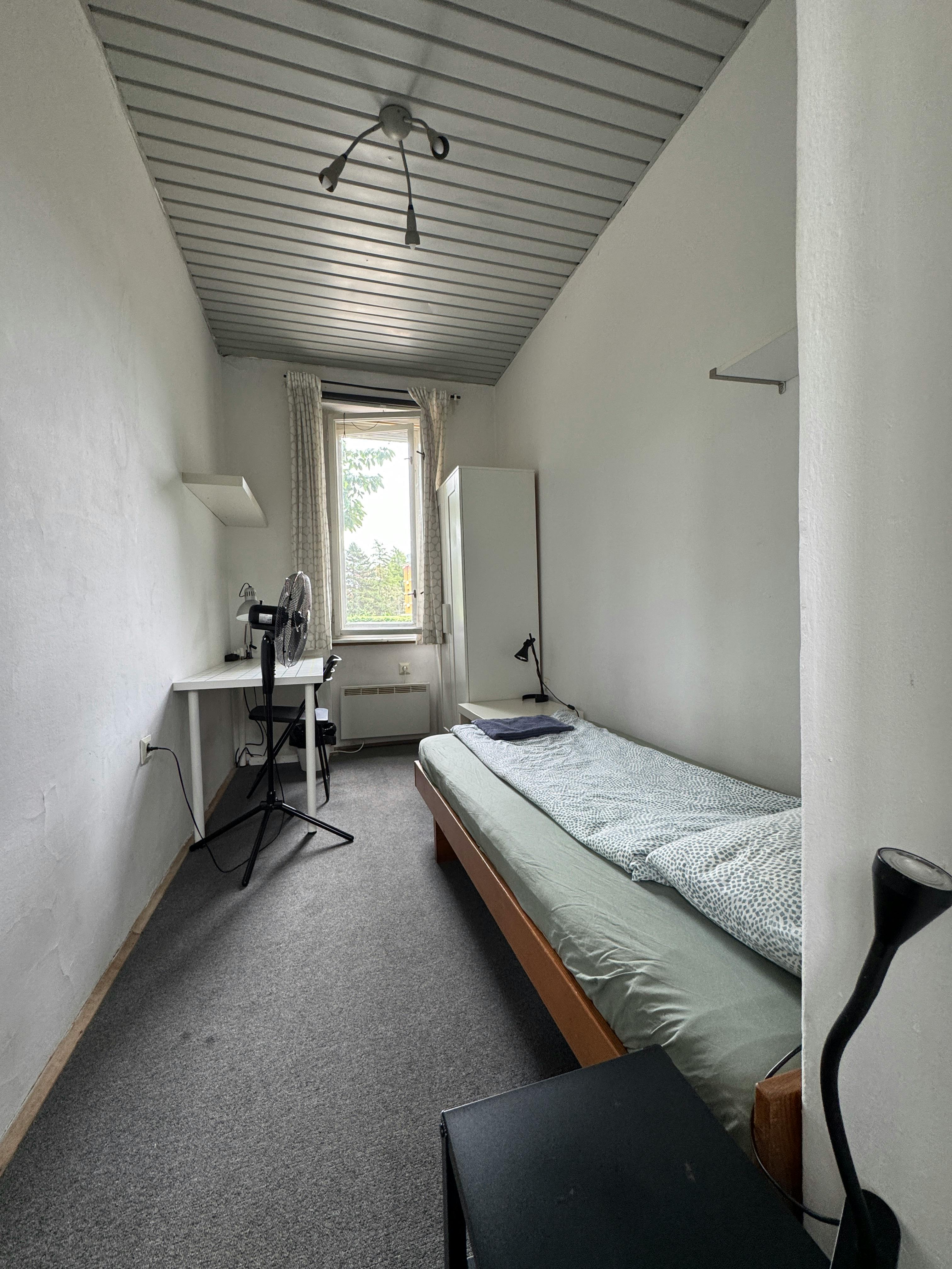 Bleiweisova cesta, Ljubljana