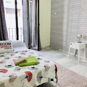 Private room for rent for €520 per month in Sevilla, Calle O'Donnell