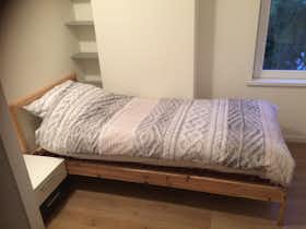 Private room for rent for €525 per month in Rotterdam, Pasteursingel