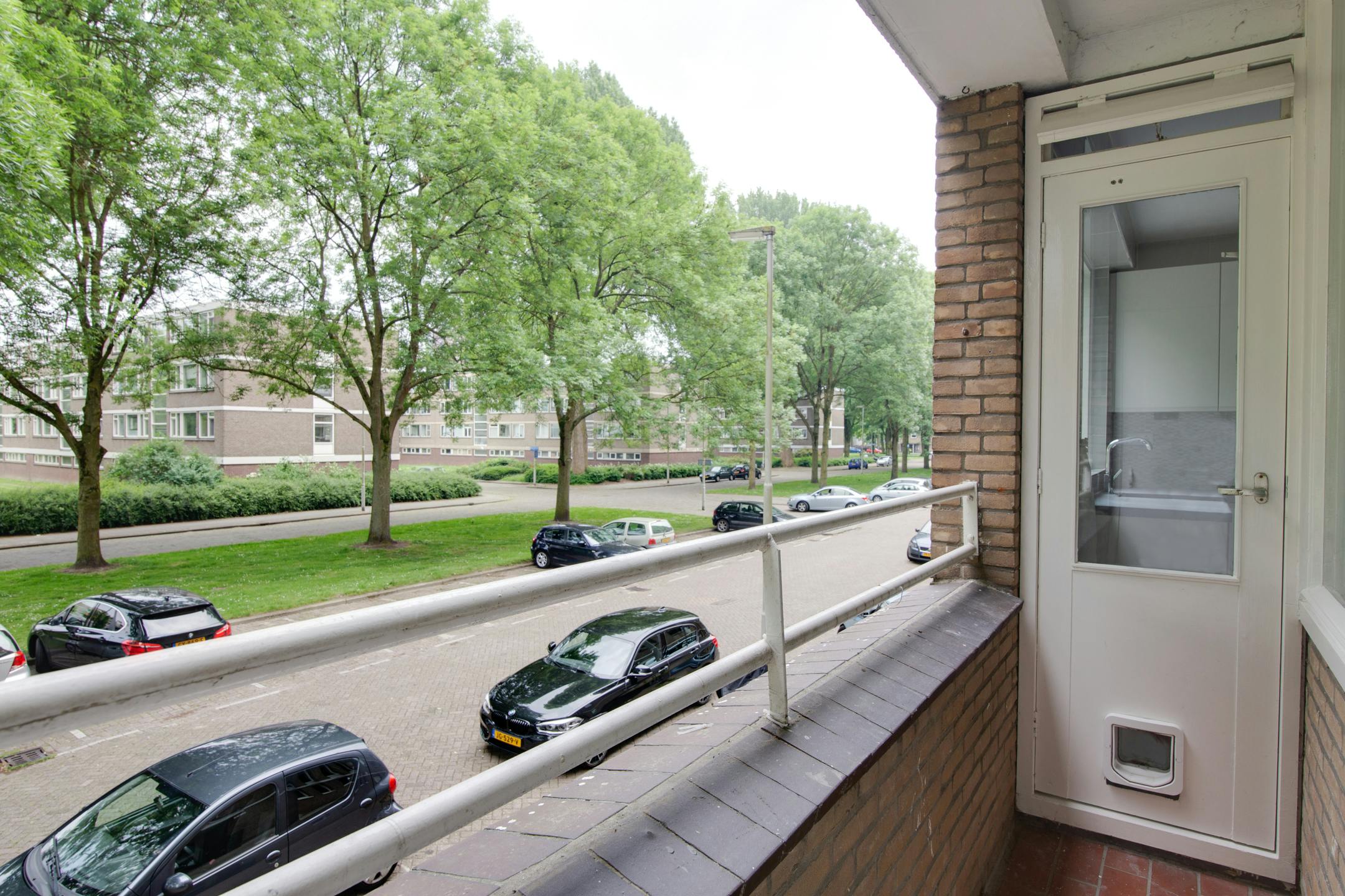 Private room in Adriaan Dortsmanstraat, Rotterdam (721680) room image 9