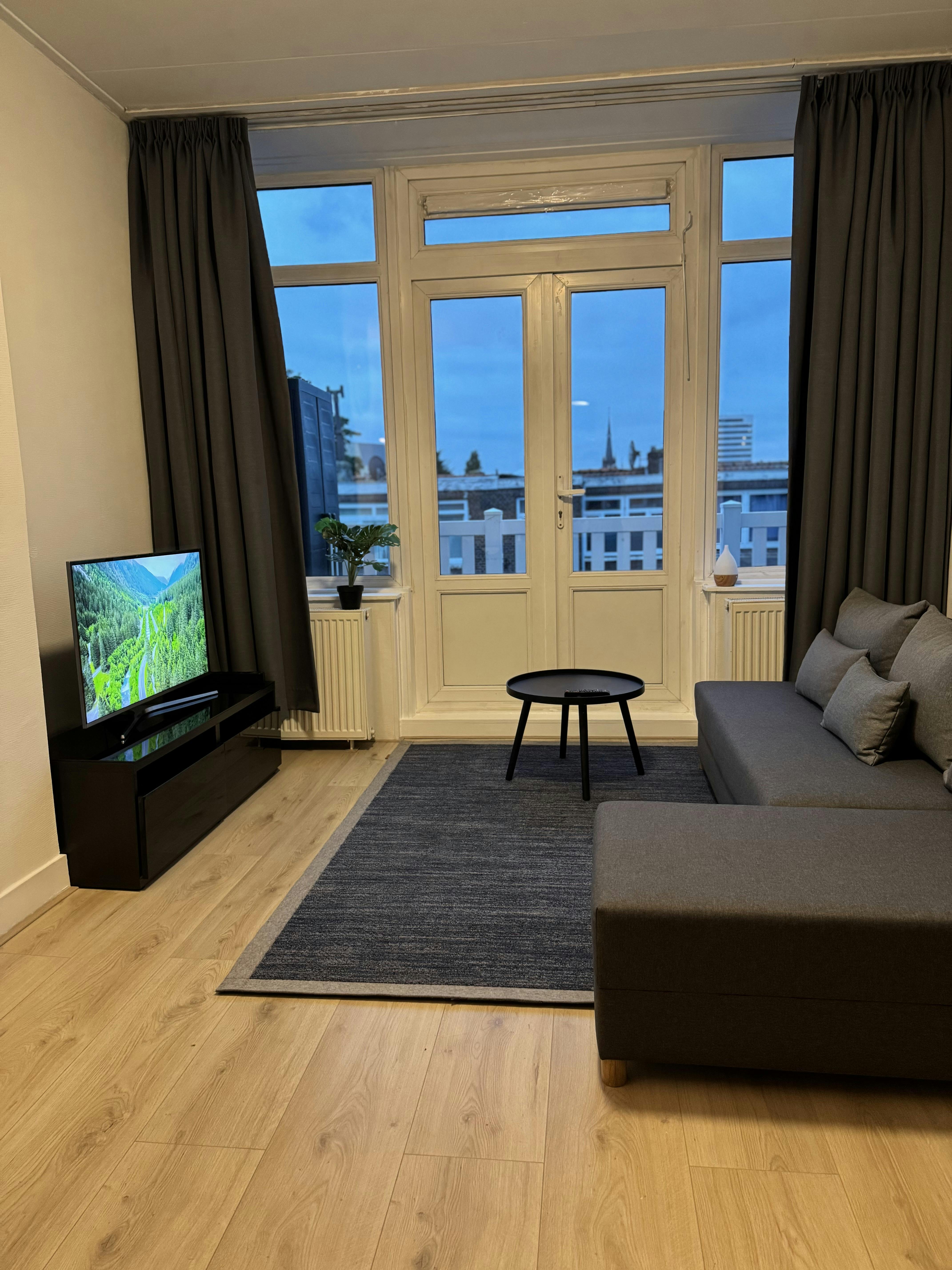 Boerhaavelaan, Schiedam preview