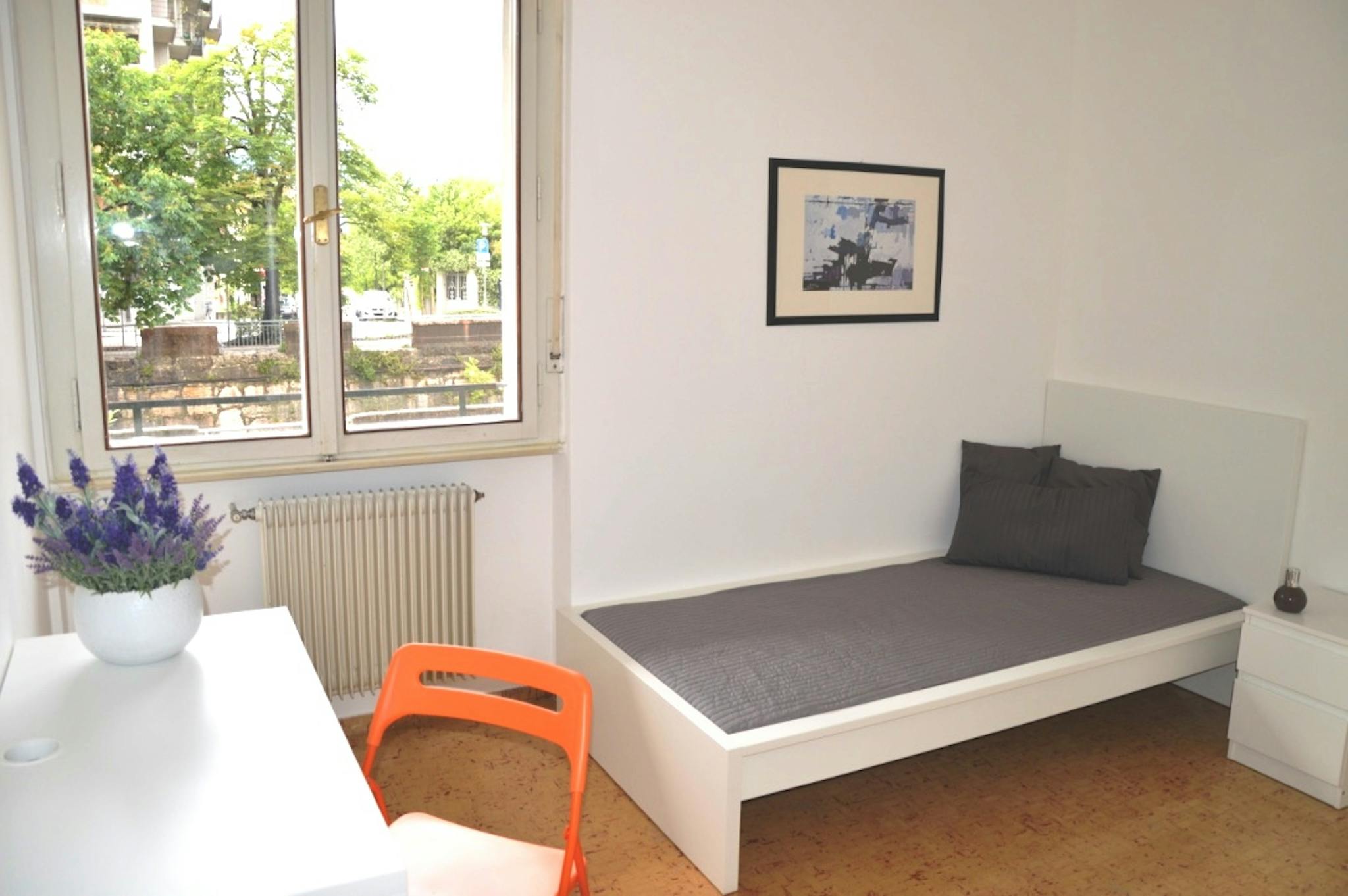 Viale Nepomuceno Bolognini, Trento preview