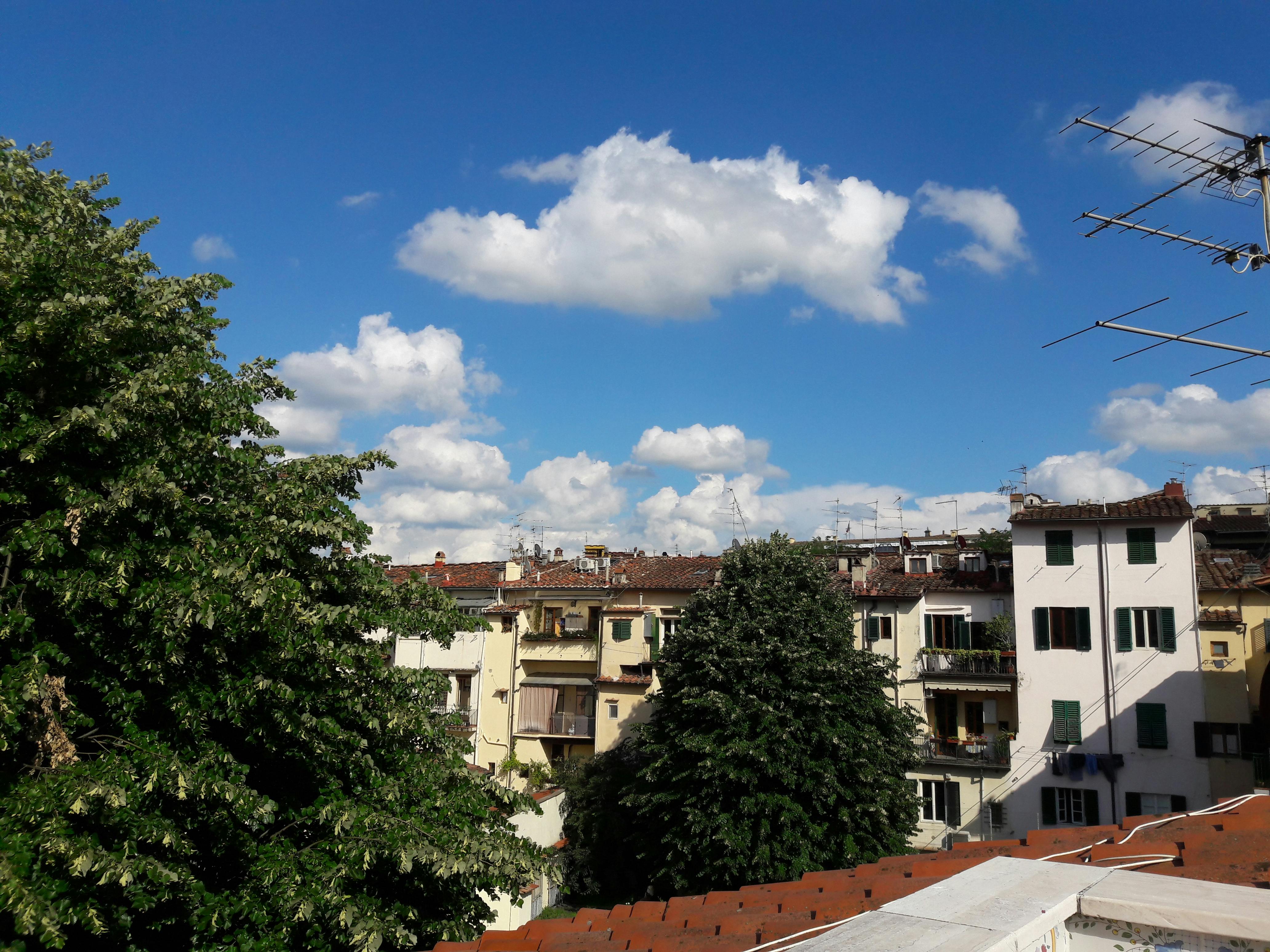 Private room in Via Sant'Agostino, Florence (749998) room image 6