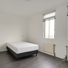 Habitación privada for rent for 700 € per month in Rotterdam, Kobelaan