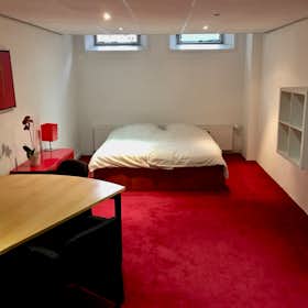 Private room for rent for €600 per month in Rotterdam, Ungerplein