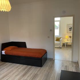 Studio for rent for € 900 per month in Antwerpen, Onderwijsstraat