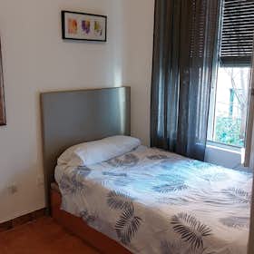 Private room for rent for €490 per month in Madrid, Avenida de los Toreros