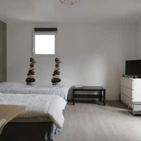 单间公寓 正在以 €900 的月租出租，其位于 Bouliac, Chemin de Créon
