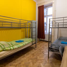 共用房间 正在以 HUF 85,730 的月租出租，其位于 Budapest, Ó utca