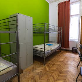 Shared room for rent for HUF 111,815 per month in Budapest, Ó utca