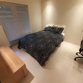 私人房间 正在以 €350 的月租出租，其位于 Rotterdam, Ogierssingel