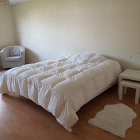 Private room for rent for €670 per month in Woluwe-Saint-Pierre, Avenue des Églantines