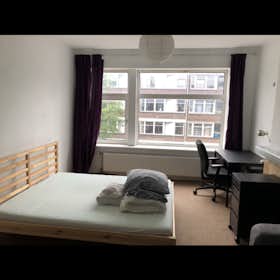 Private room for rent for €895 per month in Rotterdam, Willem Buytewechstraat
