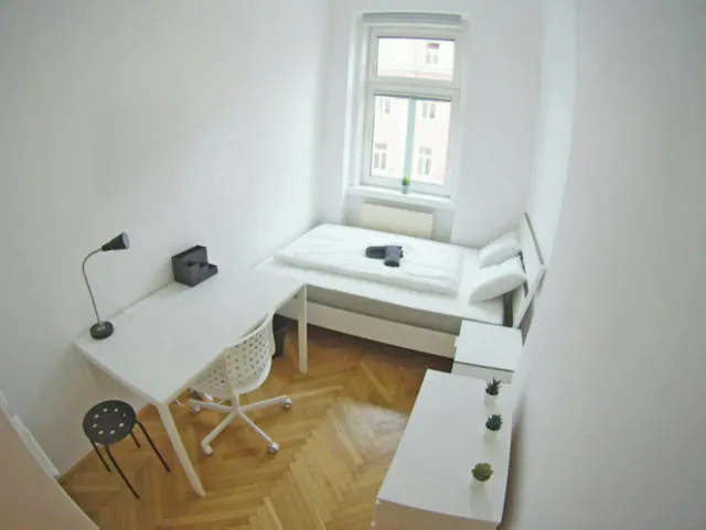 Private room in Laxenburger Straße, Vienna (942975) room image 1