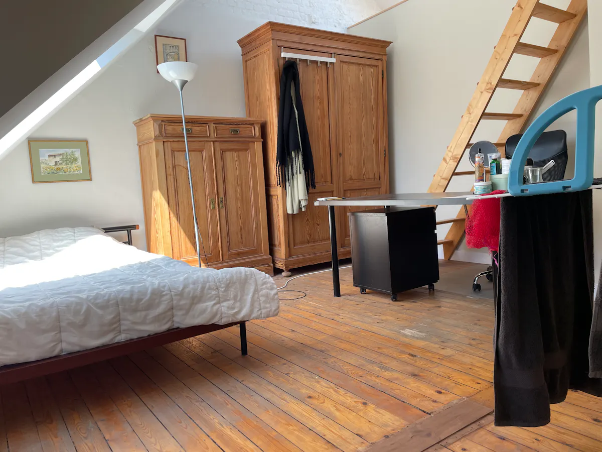 Private room in Rue de la Probité, Ixelles (967974) ROOM